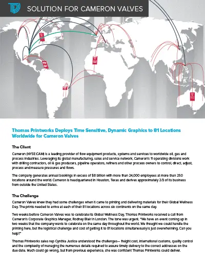 Cameron Valves Case Study